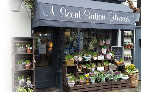 florist tavistock